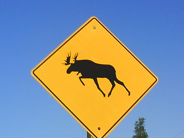 Ontario 014 Beware Of Moose.jpg